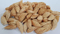 Talwar Premium Almond