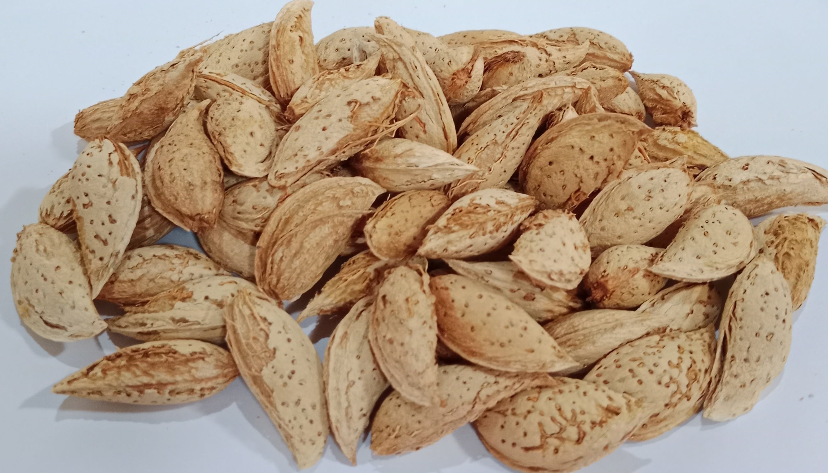 Talwar Premium Almond