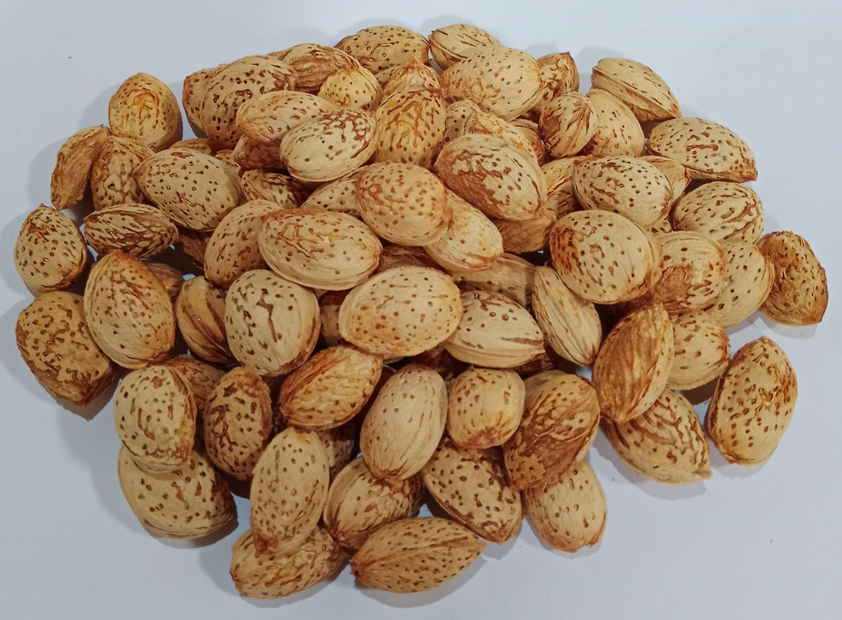 Kaghazi Almond پیوند کاغذی بادام