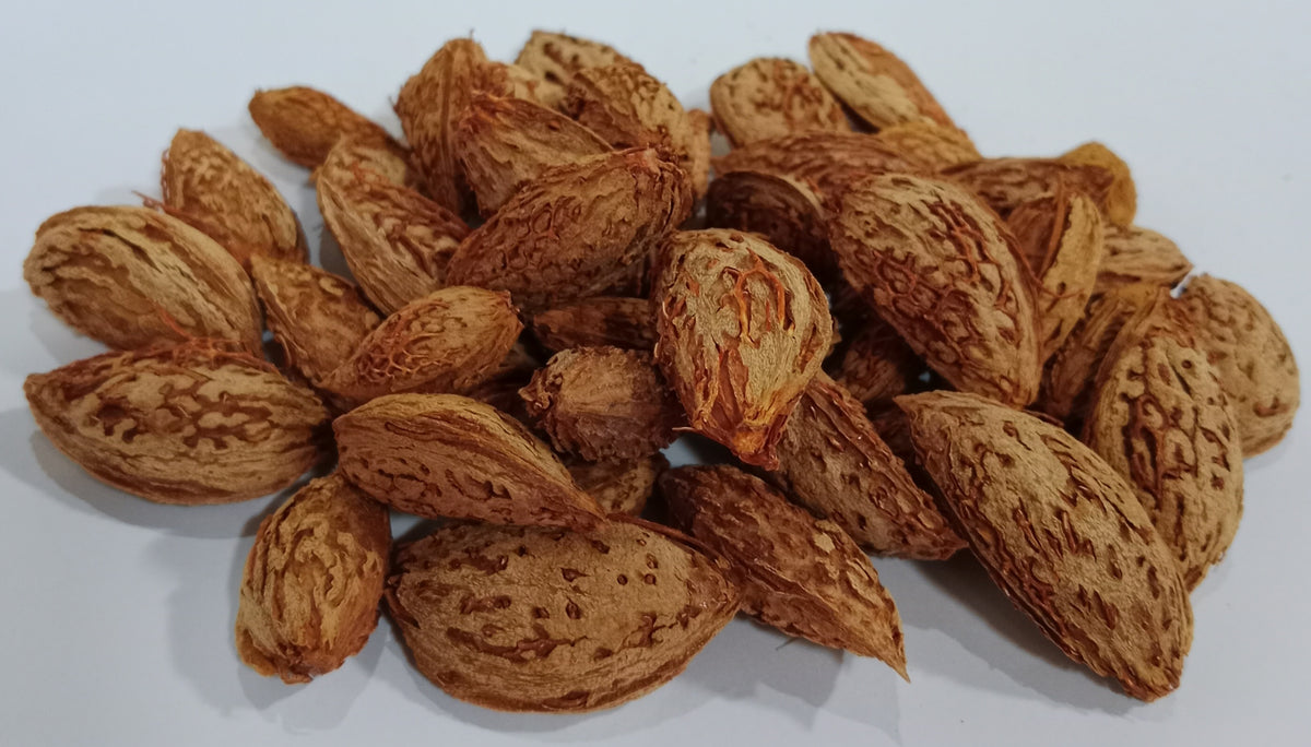 Black Phalli Almond