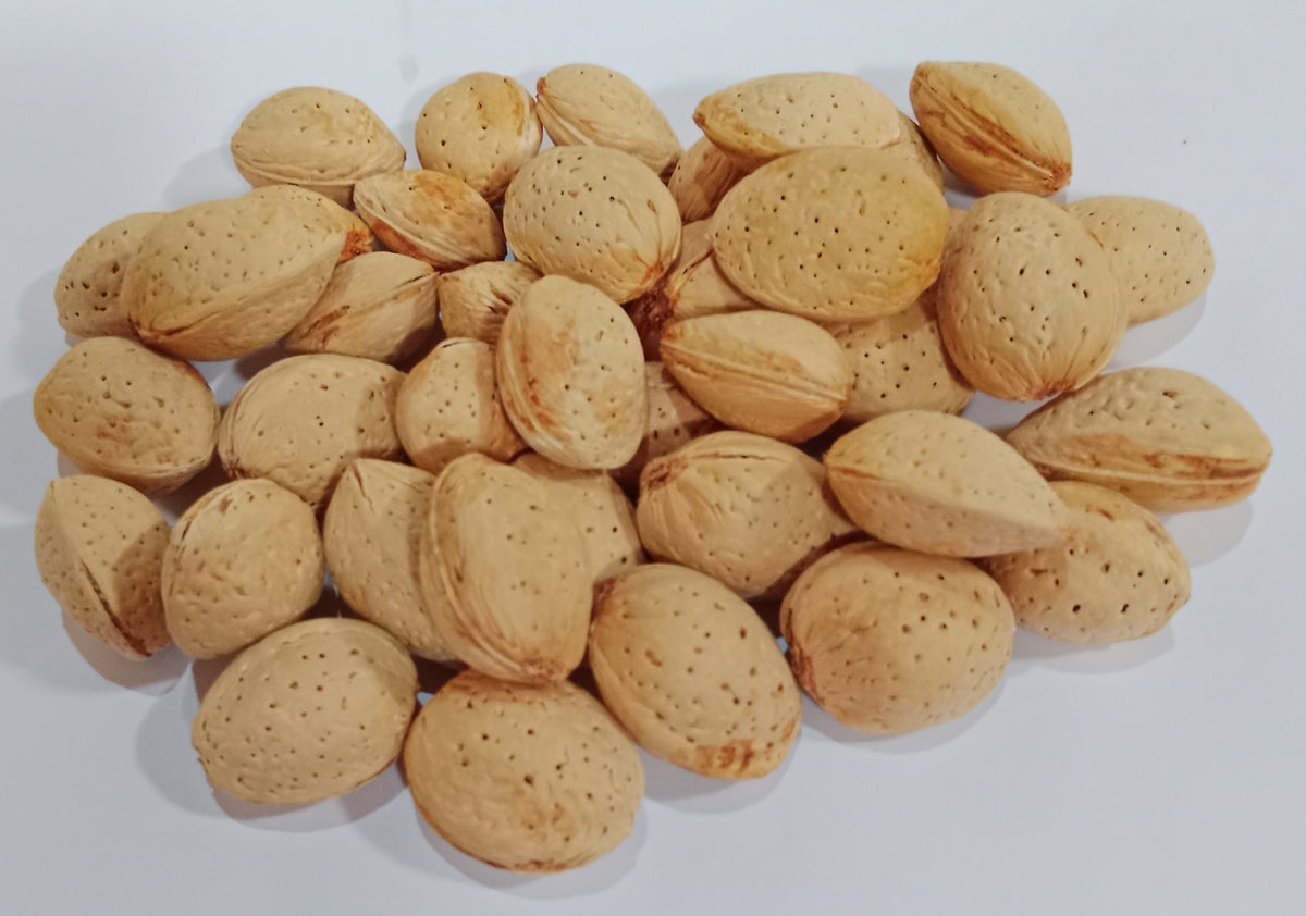 Katha Oval Premium Almond گول کاٹھہ بادام